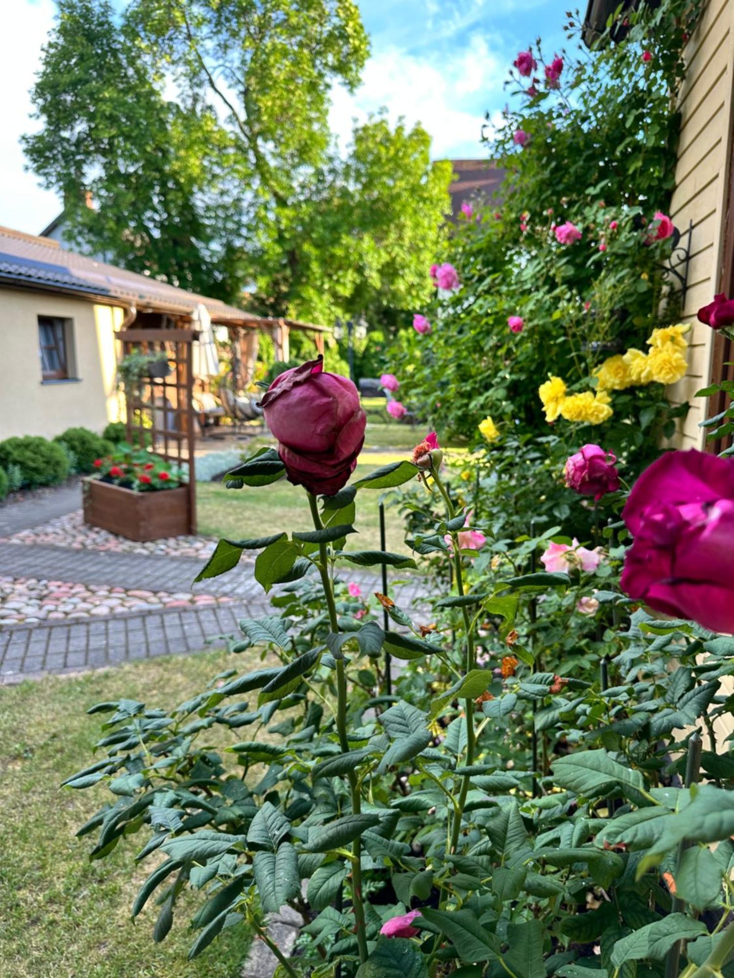 Anni Lägenhet Ventspils Exteriör bild